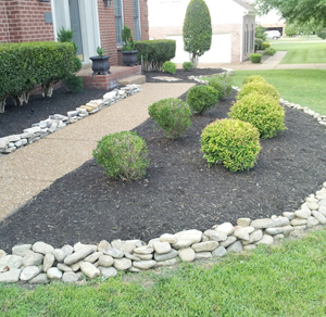 landscaping sydney front yard with small shrubs