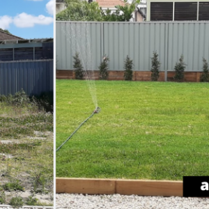 before and after of grass landscaping